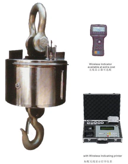 OCS-SW Digital Crane, be selectable for different display instrument